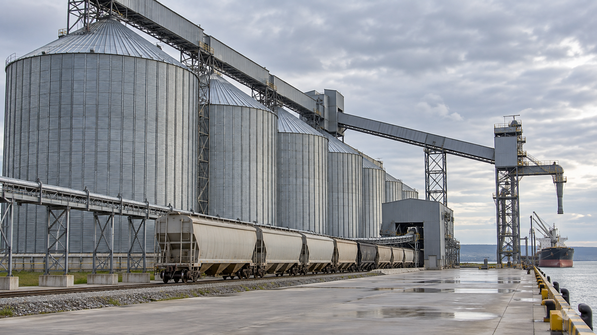 Grain silos and covered conveyors beside a terminal railway